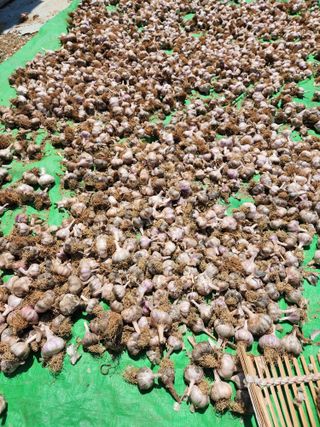 이덕우님의 자유주제 · 자유게시판 작성글 사진