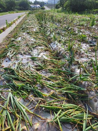 이덕우님의 자유주제 · 자유게시판 작성글 사진