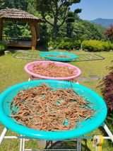 팜모닝 ☔️장마 대비 하셨나요?·참여글 게시글 이미지