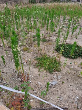 이진수님의 자유주제 · 자유게시판 작성글 사진