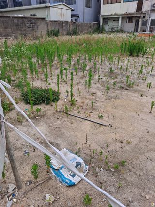 이진수님의 자유주제 · 자유게시판 작성글 사진