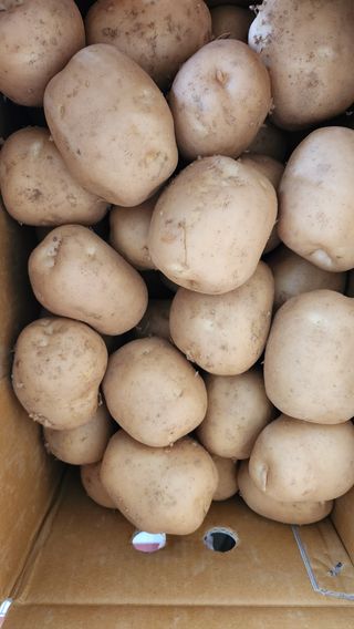 한정수님의 작성글 사진