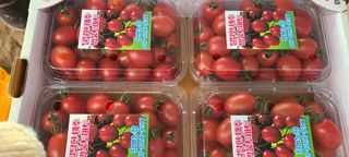 정오농장님의 토마토 · 영농일지 작성글 사진