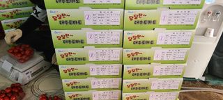 정오농장님의 토마토 · 영농일지 작성글 사진