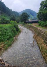 팜모닝 팜모닝·출석 게시글 이미지