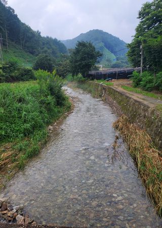 홍천 손춘목 님의 팜모닝 · 출석 작성글 사진