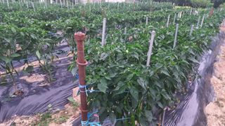 송월명님의 자유주제 · 자유게시판 작성글 사진