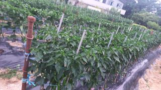 송월명님의 자유주제 · 자유게시판 작성글 사진