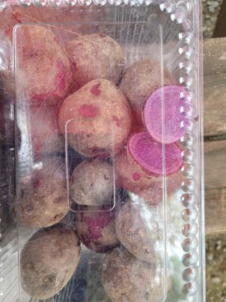 나는 나님의 감자 · 영농일지 작성글 사진