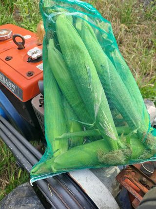 장세만 님의 자유주제 · 자유게시판 작성글 사진