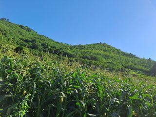 장세만 님의 자유주제 · 자유게시판 작성글 사진