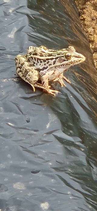 창공 귀농귀촌 초보님의 자유주제 · 자유게시판 작성글 사진