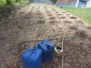 손 무현님의 들깨 · 영농일지 작성글 사진