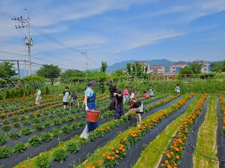 남옥선님의 자유주제 · 자유게시판 작성글 사진