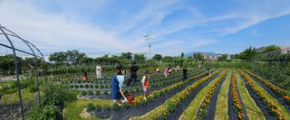 남옥선님의 자유주제 · 자유게시판 작성글 사진