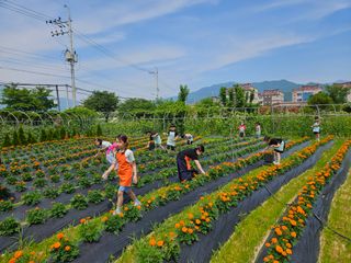 남옥선님의 자유주제 · 자유게시판 작성글 사진