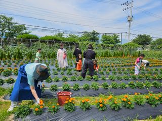 남옥선님의 자유주제 · 자유게시판 작성글 사진