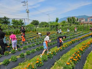 남옥선님의 자유주제 · 자유게시판 작성글 사진