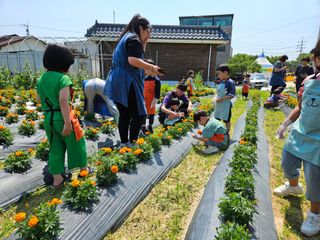 남옥선님의 자유주제 · 자유게시판 작성글 사진