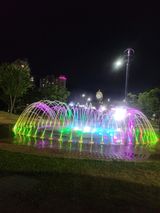 팜모닝 자유주제·자유게시판 게시글 이미지