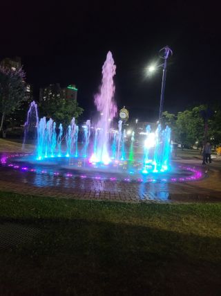 이원우님의 자유주제 · 자유게시판 작성글 사진