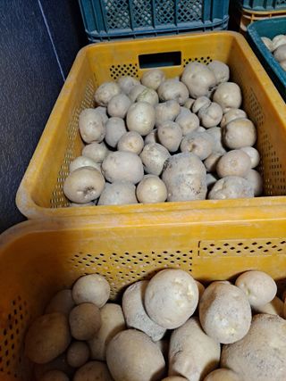 김종헌님의 작성글 사진