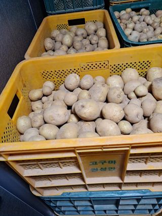 김종헌님의 작성글 사진