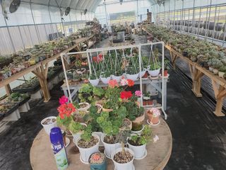 이연옥님의 기타작물 · 영농일지 작성글 사진