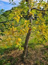 팜모닝 농사, 무엇이든 물어보세요!·참여글 게시글 이미지