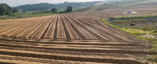 최상희님의 콩 · 영농일지 작성글 사진