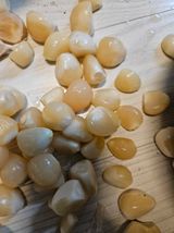 팜모닝 자유주제·자유게시판 게시글 이미지