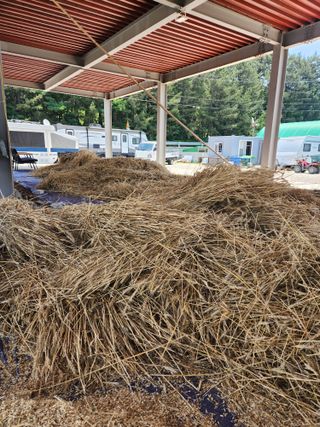 호박13997님의 자유주제 · 자유게시판 작성글 사진