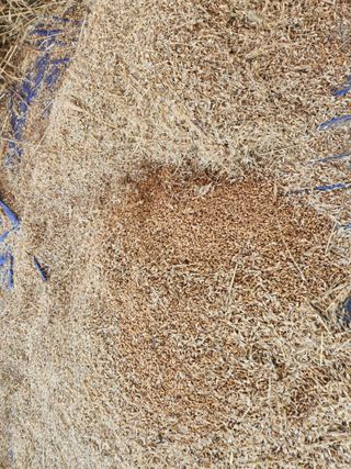 호박13997님의 자유주제 · 자유게시판 작성글 사진