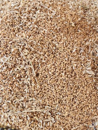 호박13997님의 자유주제 · 자유게시판 작성글 사진