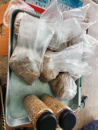 호박13997님의 자유주제 · 자유게시판 작성글 사진