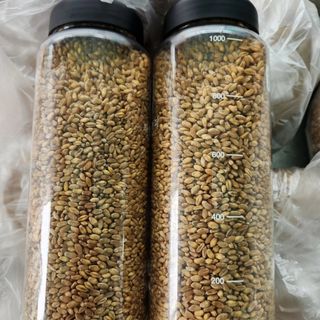 호박13997님의 자유주제 · 자유게시판 작성글 사진