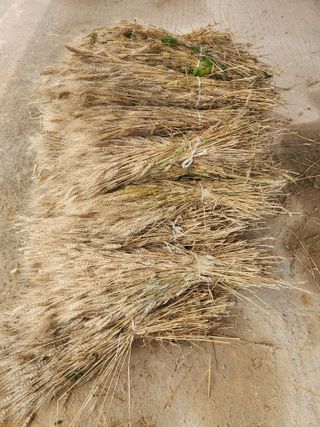 호박13997님의 자유주제 · 자유게시판 작성글 사진