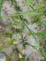 팜모닝 자유주제·자유게시판 게시글 이미지