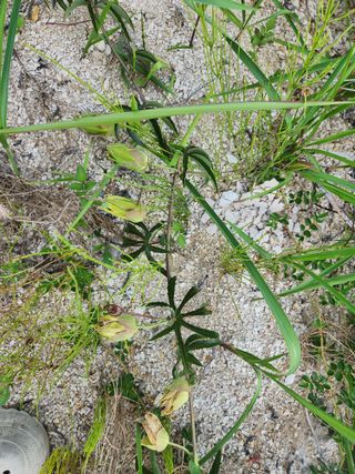 호박13997님의 자유주제 · 자유게시판 작성글 사진