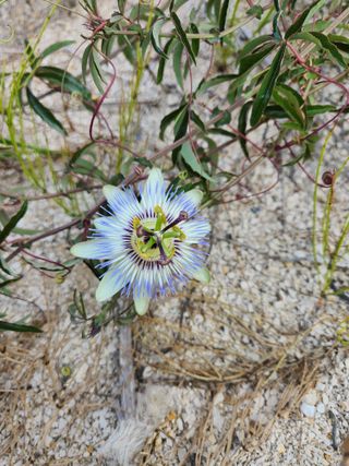 호박13997님의 자유주제 · 자유게시판 작성글 사진
