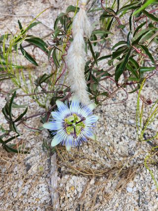 호박13997님의 자유주제 · 자유게시판 작성글 사진