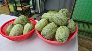 꿈치님의 ☔️장마 대비 하셨나요? · 참여글 작성글 사진