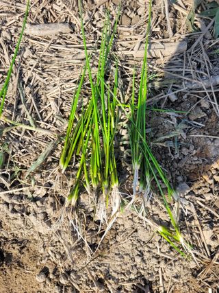 박기영님의 자유주제 · 자유게시판 작성글 사진