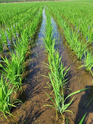 박기영님의 자유주제 · 자유게시판 작성글 사진