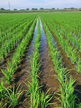 박기영님의 자유주제 · 자유게시판 작성글 사진