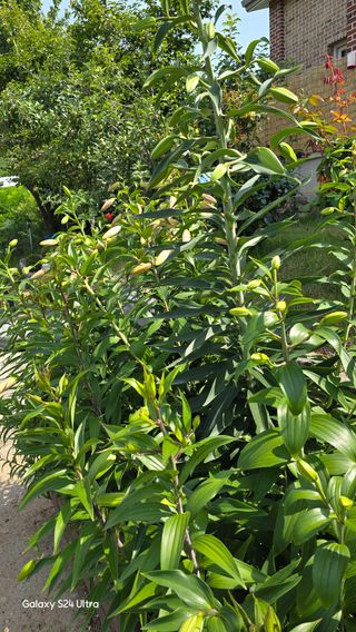 홍성부님의 자유주제 · 자유게시판 작성글 사진