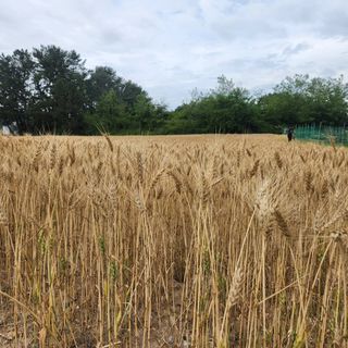 호박13997님의 작성글 사진