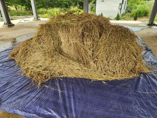 호박13997님의 작성글 사진