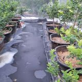 팜모닝 팜모닝·출석 게시글 이미지