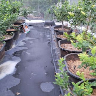 이은정님의 팜모닝 · 출석 작성글 사진